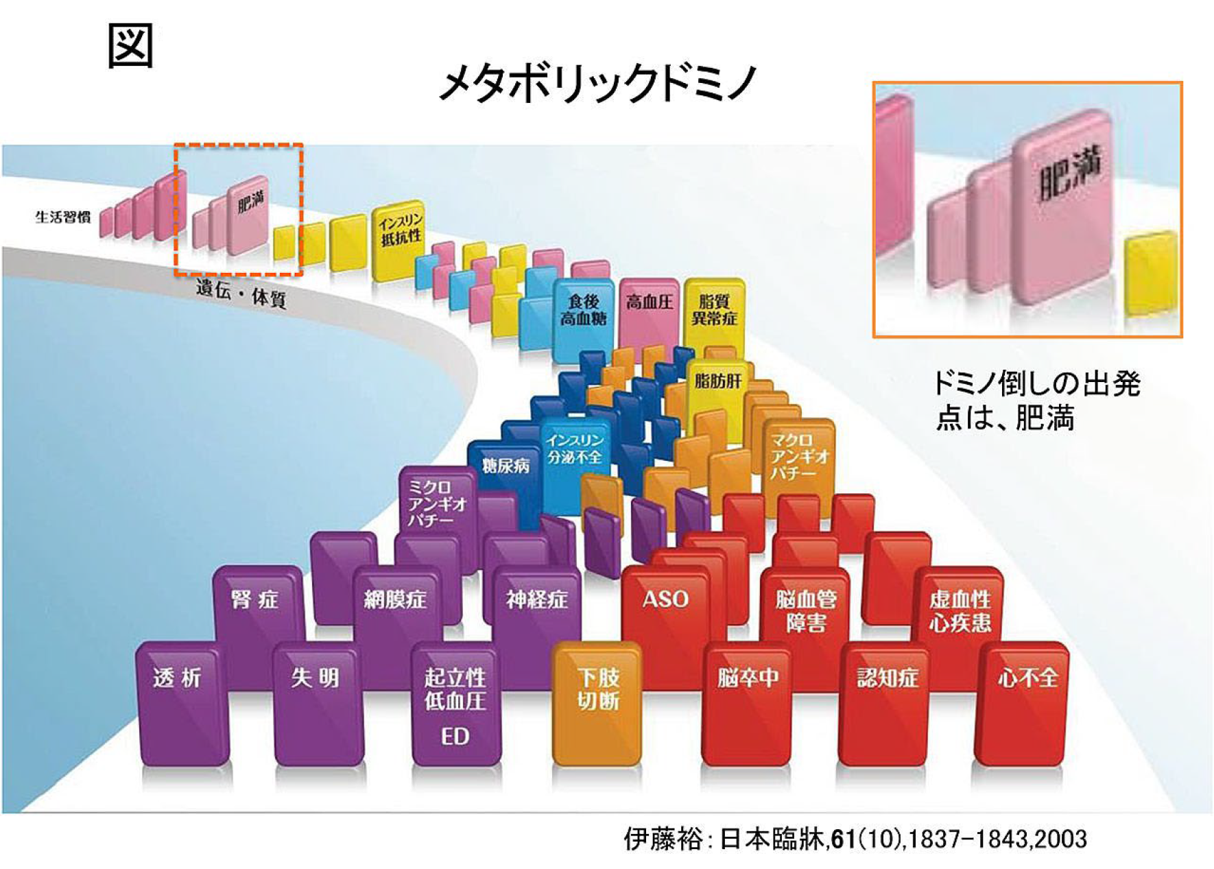 メタボリックドミノ